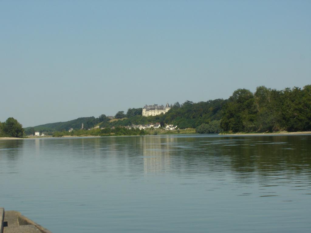 Les Bords De Loire Appartement Veuves Kamer foto